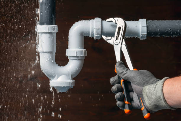 Professional Plumbing technician working in Ingomar, PA